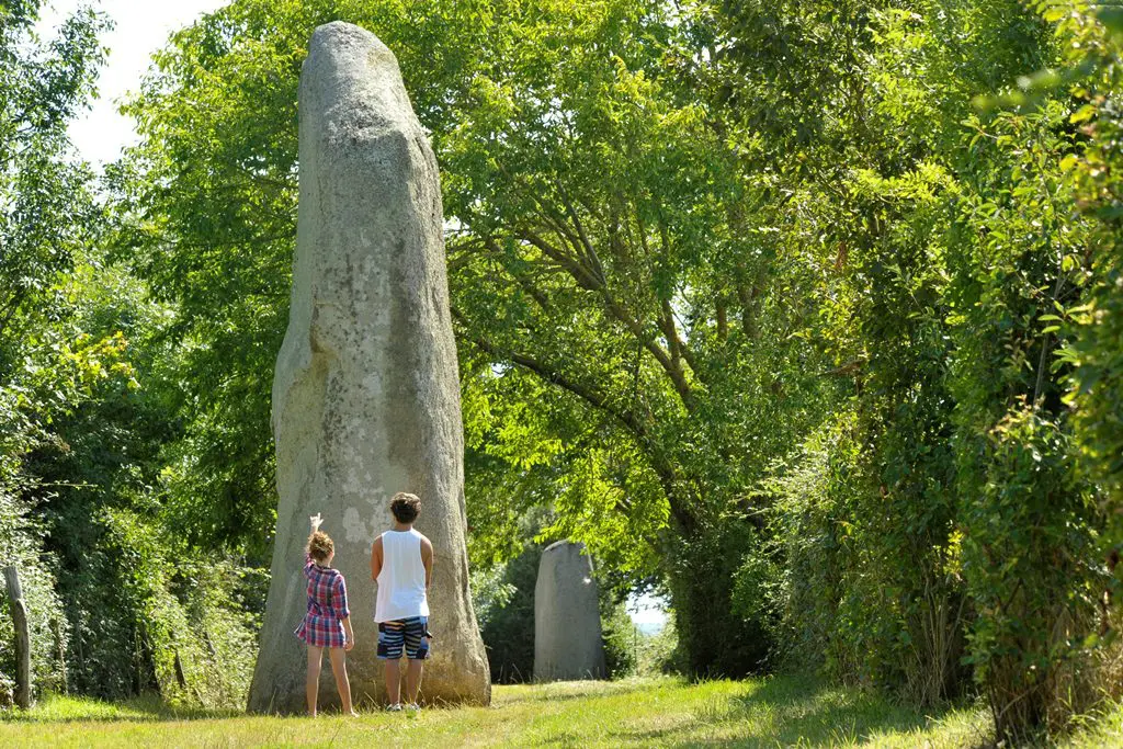Le Bernard, Menhir du Plessis - &copy;Thomas Delonde