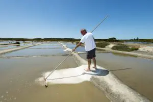 Marais salants de la Guitti&egrave;re