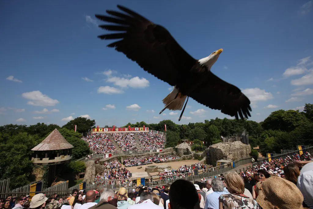 Puy du Fou - Les oiseaux