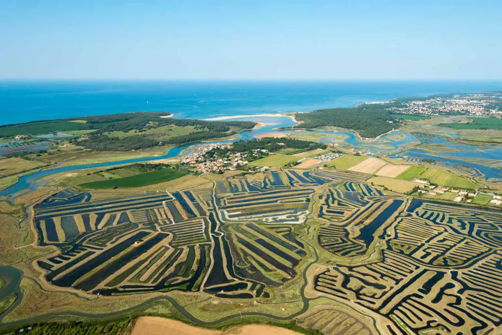 Randonnée dans les Marais de La Guittière à Talmont-Saint-Hilaire Randonnée dans les Marais de La Guittière à Talmont-Saint-Hilaire