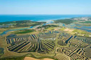 Randonn&eacute;e dans les Marais de La Guitti&egrave;re &agrave; Talmont-Saint-Hilaire