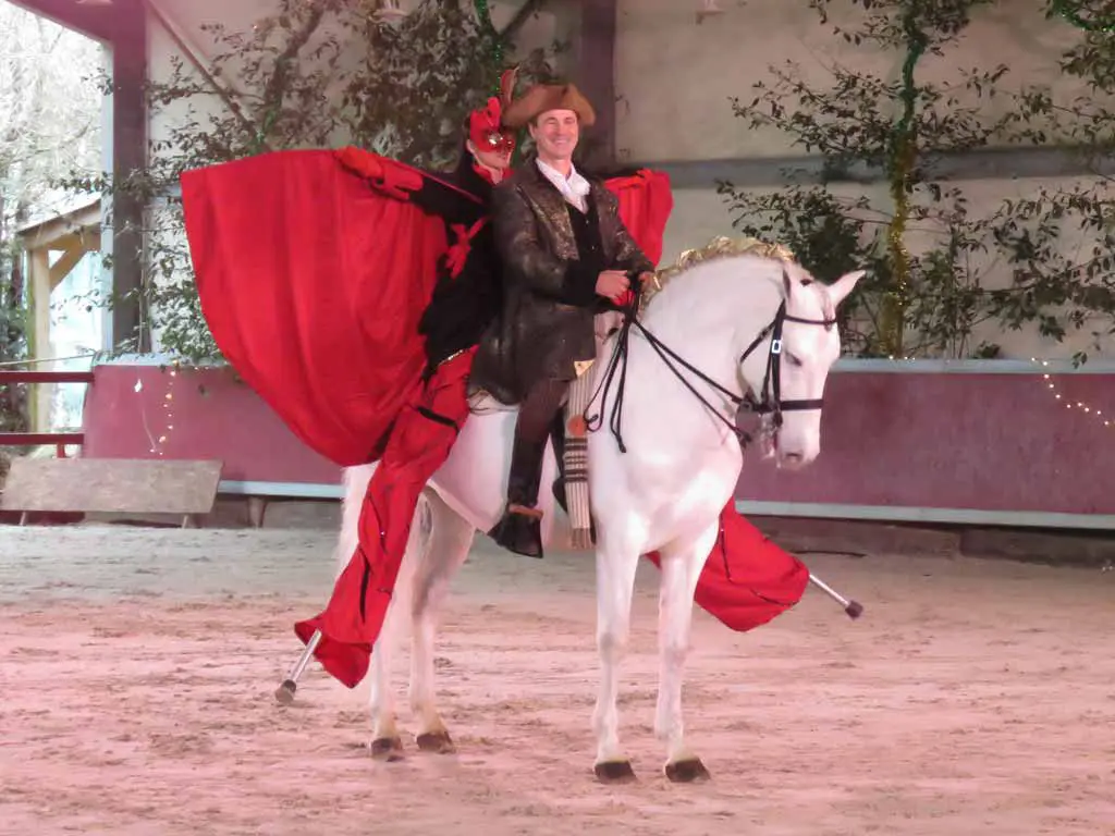 Ecuries d'Artpaillange Spectacle Dragona