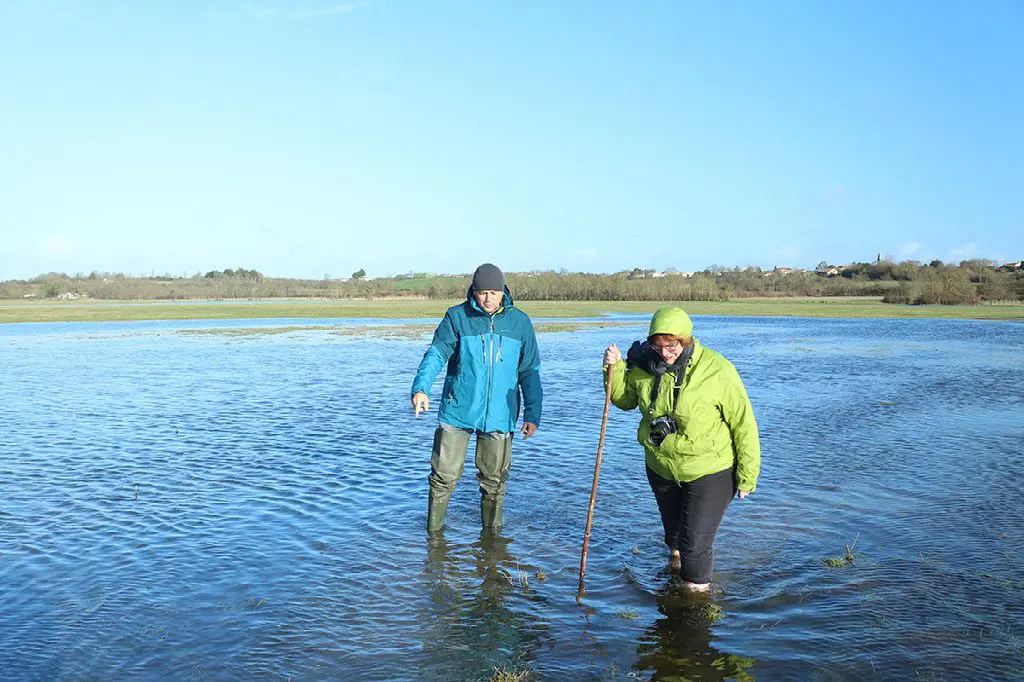 Balade dans le communal de Lairoux / Curzon - &copy;Claire Traineau