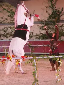 Spectacle aux écuries d'Artpaillange