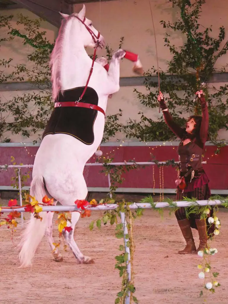 Spectacle aux &eacute;curies d'Artpaillange