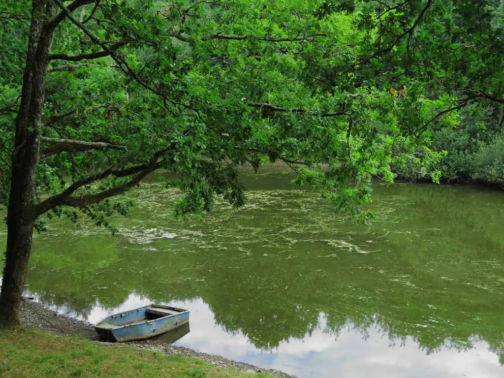 Lac de finfarine &agrave; Poiroux - @Horizon Vertical