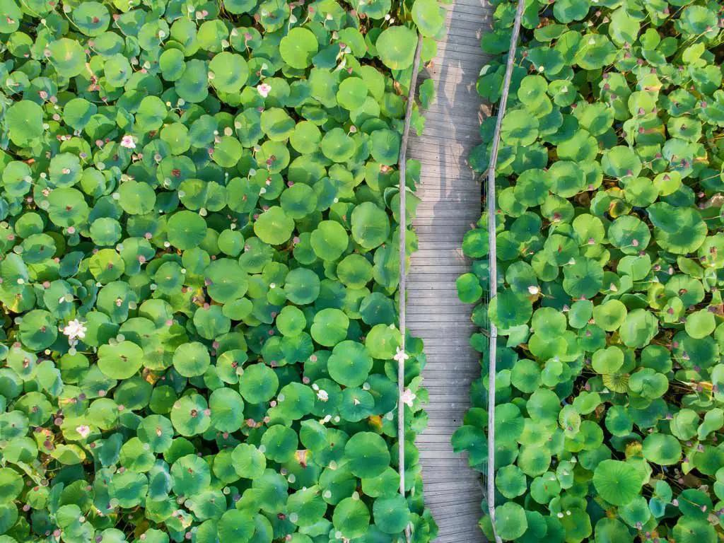 Parc floral de la Court d'Aron - cr&eacute;dit : Horizon Vertical