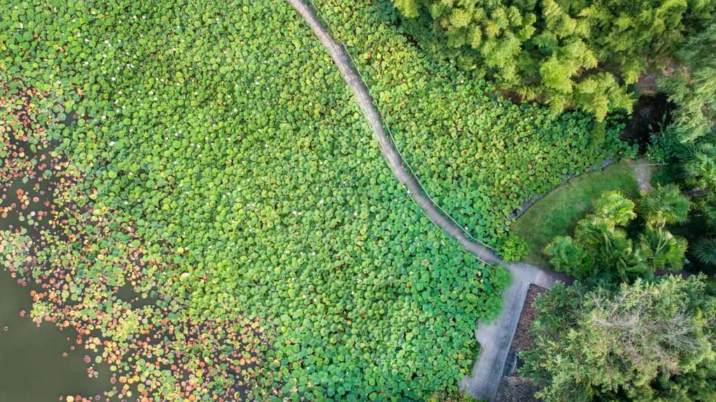 Parc floral de la Court d'Aron - cr&eacute;dit : Horizon Vertical