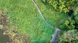 Parc floral de la Court d'Aron - crédit : Horizon Vertical