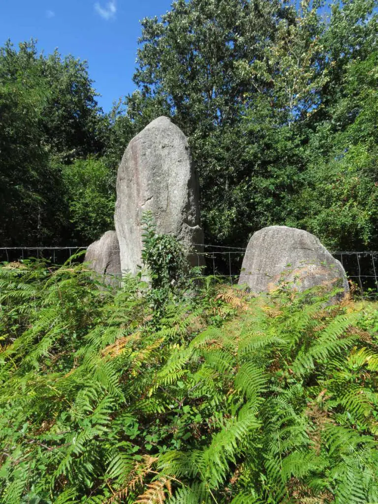 Dolmen &agrave; Saint-Hilaire-la-Foret