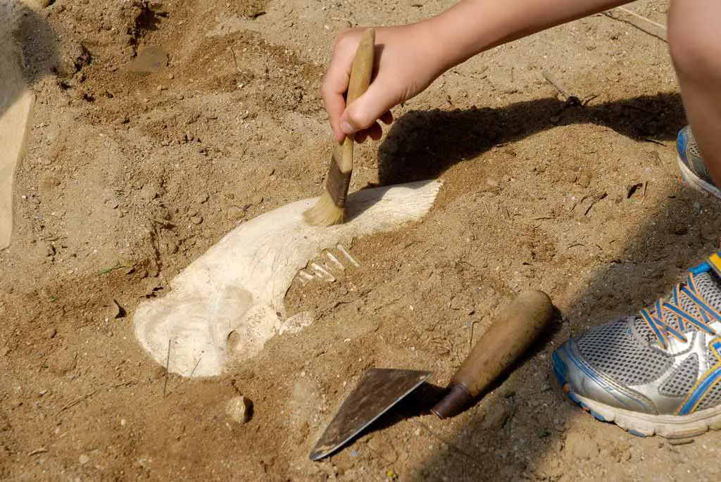 Saint-Hilaire-la-Foret, le Cairn, fouilles arch&eacute;ologiques