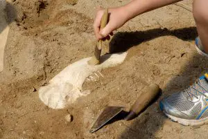Saint-Hilaire-la-Foret, le Cairn, fouilles archéologiques