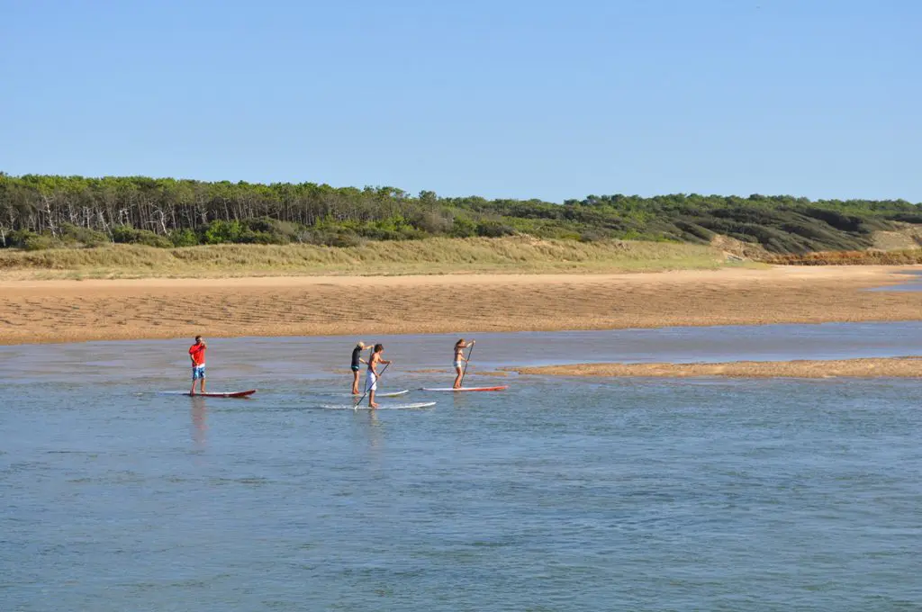 Entre terre et mer : paddle en mer &agrave; Talmont-Saint-Hilaire