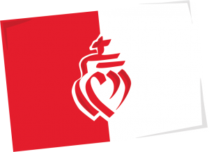 Culture locale : Drapeau de Vend&eacute;e - cr&eacute;dit dessin sophie duprat caoure