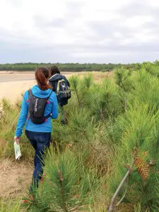 Géocaching : roadbook