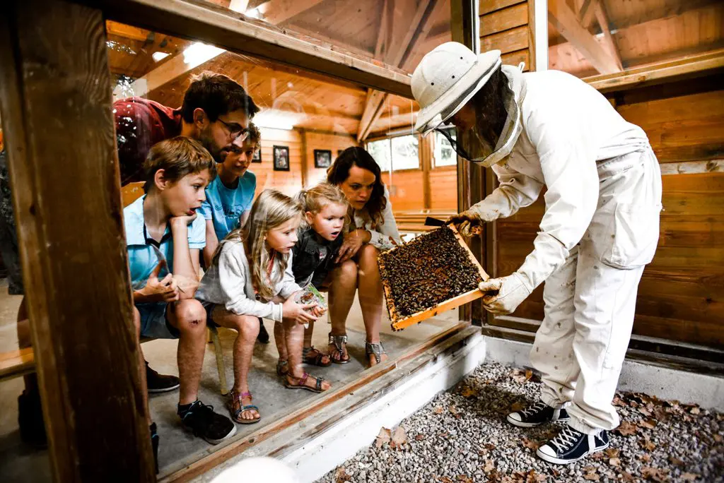 La Folie de Finfarine &agrave; Poiroux