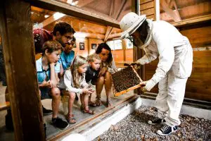 La Folie de Finfarine &agrave; Poiroux