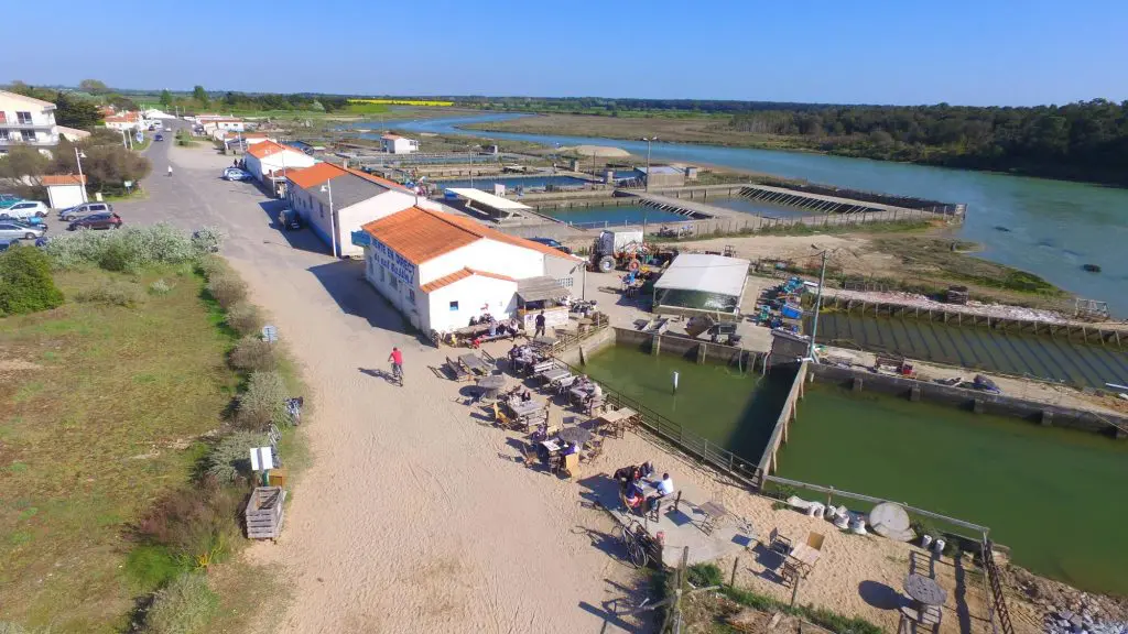 nouveau-viviers-de-la-guittiere nouveau-viviers-de-la-guittiere