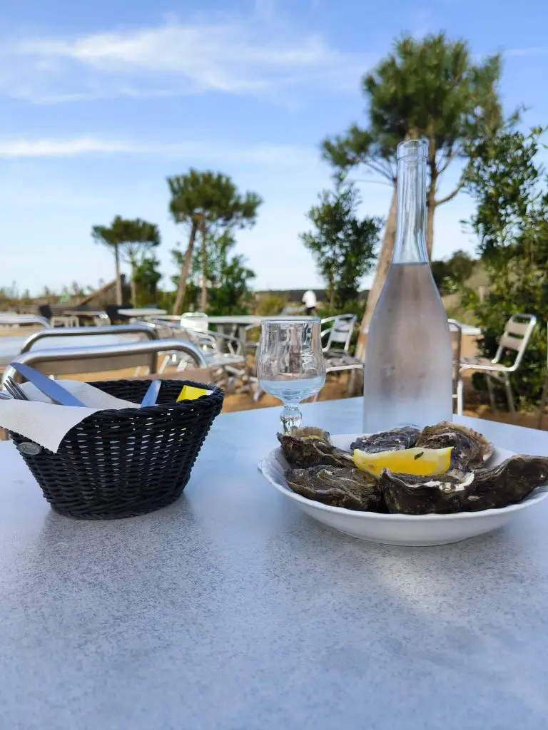 viviers-guittiere-ostreiculteur-vendee-degustation-huitres viviers-guittiere-ostreiculteur-vendee-degustation-huitres