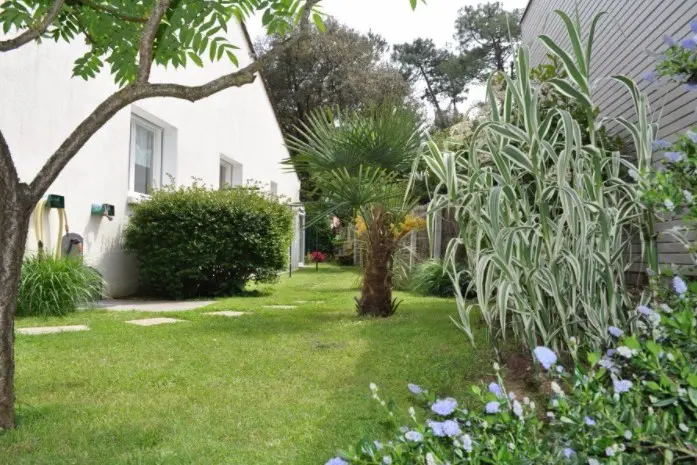 location-saisonniere-jard-mer-villa-havene-jardin-arbore Villa Havène à Jard-sur-Mer - Jardin arboré