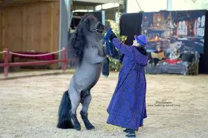 scene-artpaillange-grosbreuil-vendee-spectacle-equestre