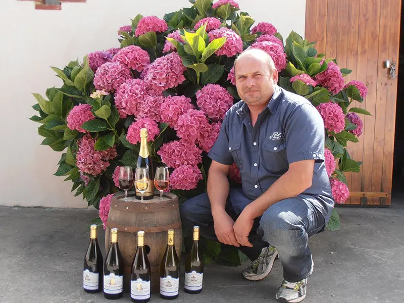 Domaine du Vieux Pressoir