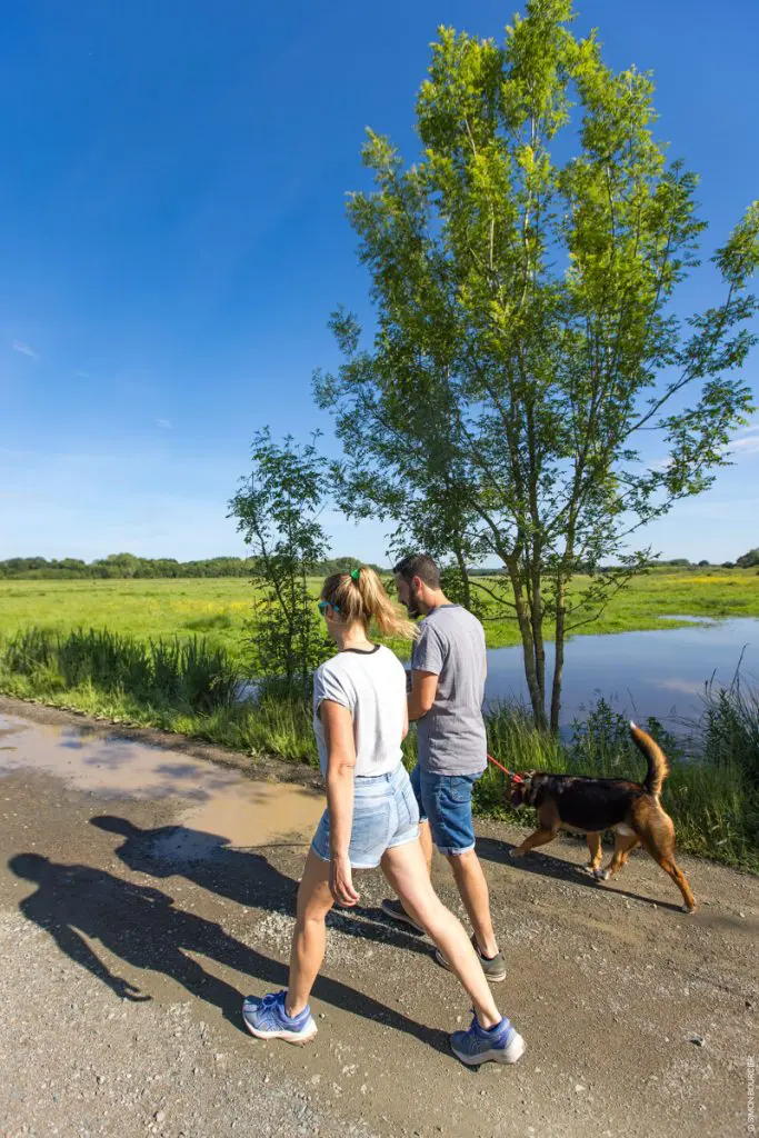 Noailles_Le-Champ-Saint-Pere