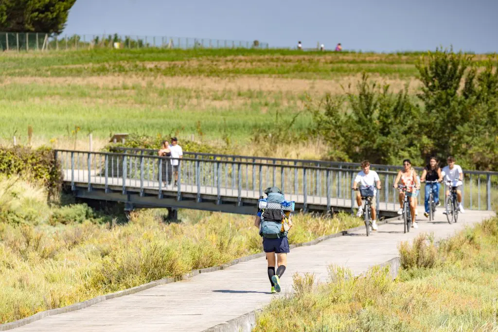 marais_guittiere_randonnee_passerelle_3_sbourcier