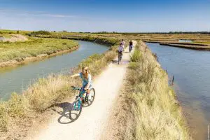 marais_guittiere_velo_3_sbourcier