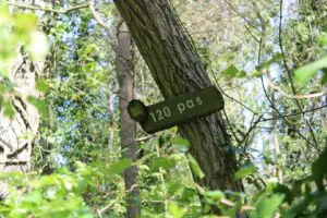 chasse-au-tresor-rocher-1-300x200