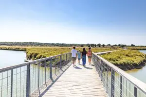 marais_guittiere_balade_passerelle_1_sbourcier