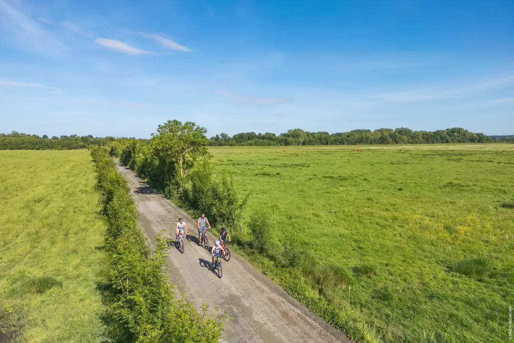 Noailles_Le Champ-Saint-P&egrave;re_158