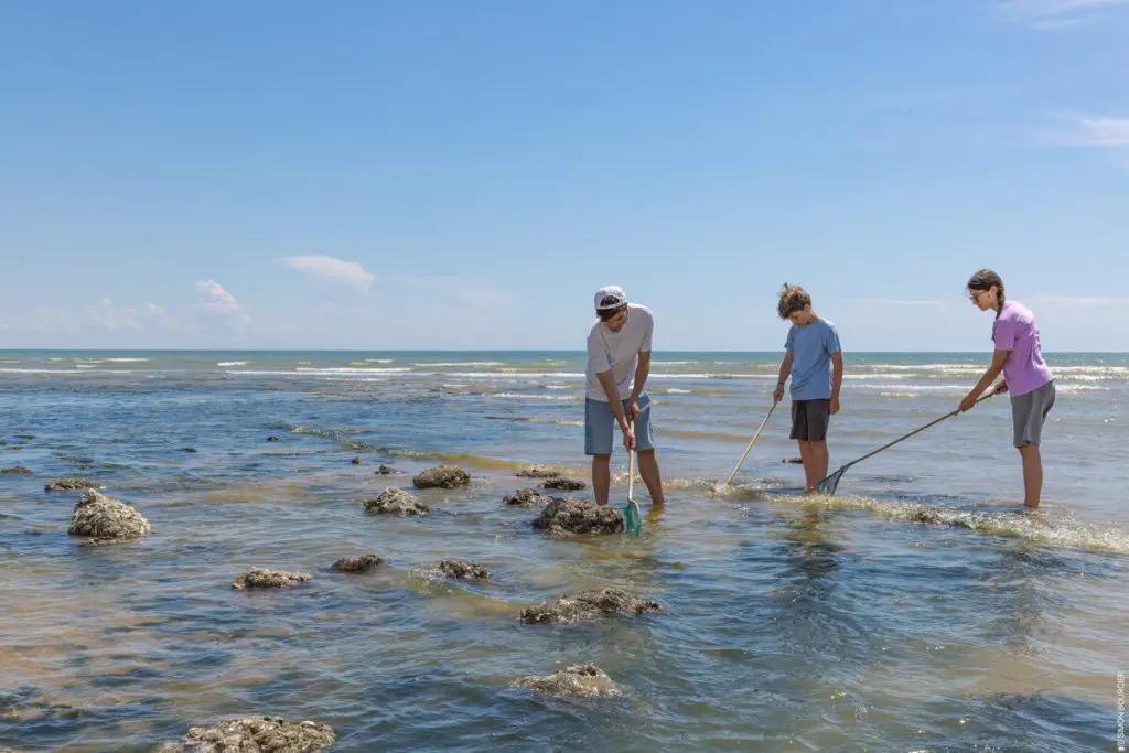 peche-a-pied-plage-du-bouil-credit-simon-bourcier