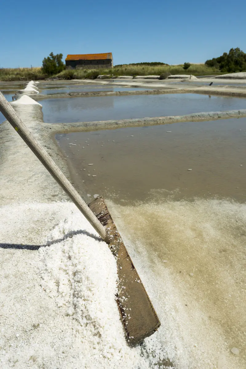 photo de Talmont Saint Hilaire en Vendee, photo de saliculture et des marais salants de Talmont