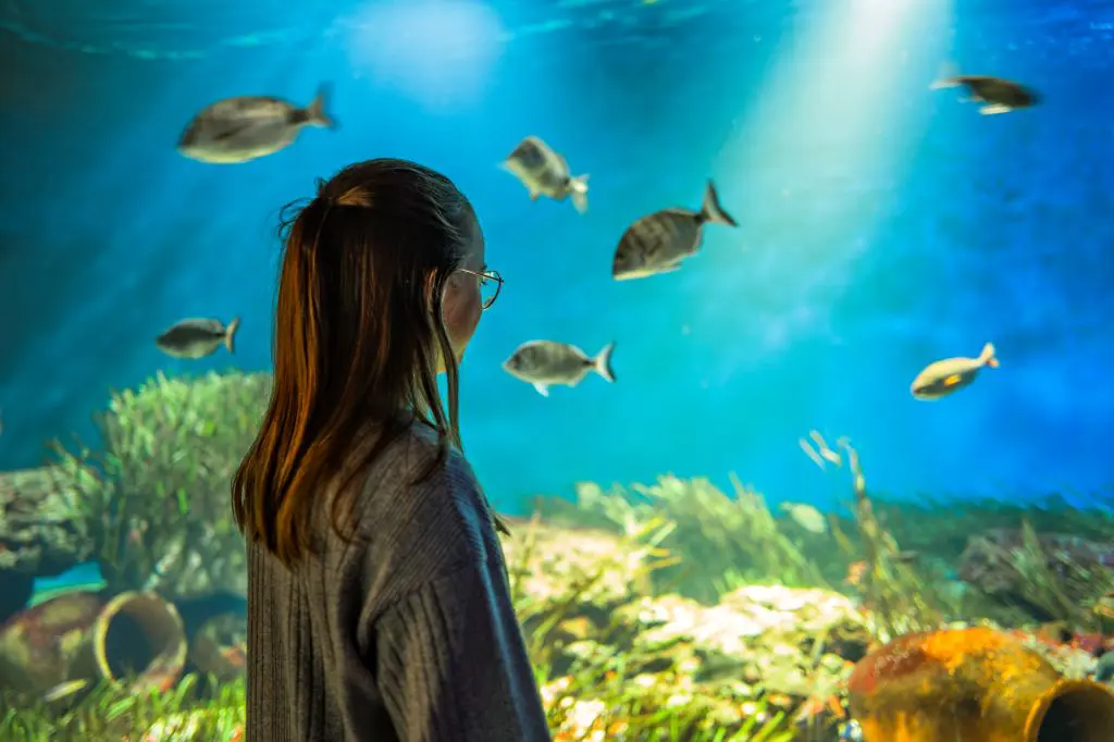 aquarium-vendee-bourgenay-pierre-ollier-vendee-expansion