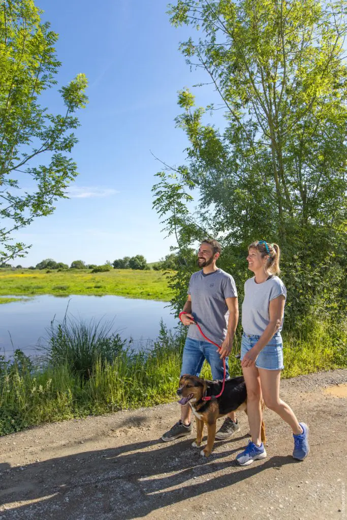 Noailles_Le-Champ-Saint-Pere_sbourcier Noailles_Le-Champ-Saint-Pere_sbourcier