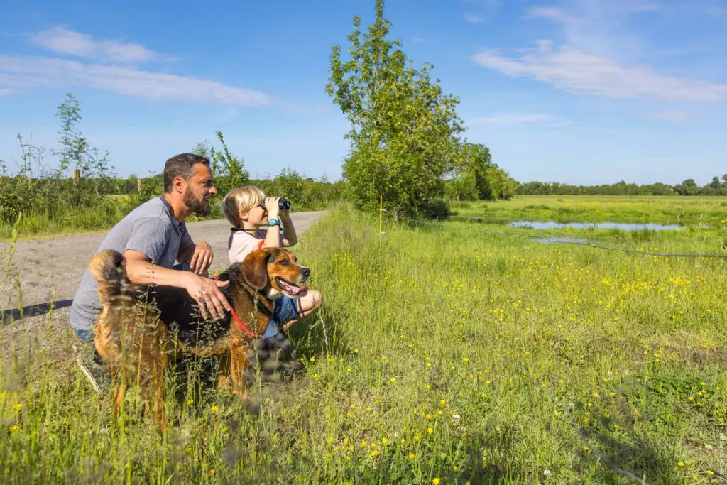Noailles_Le-Champ-Saint-Pere_sbourcier