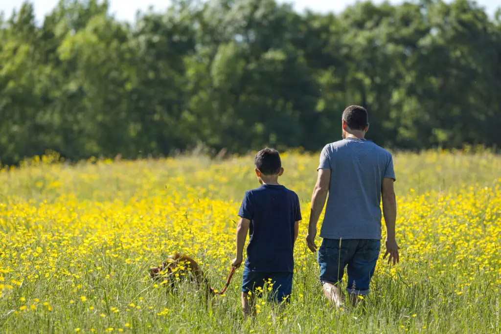 Noailles_Le-Champ-Saint-Pere_sbourcier Noailles_Le-Champ-Saint-Pere_sbourcier