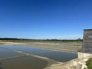 marais-salants-talmont-saint-hilaire-visite-guidée