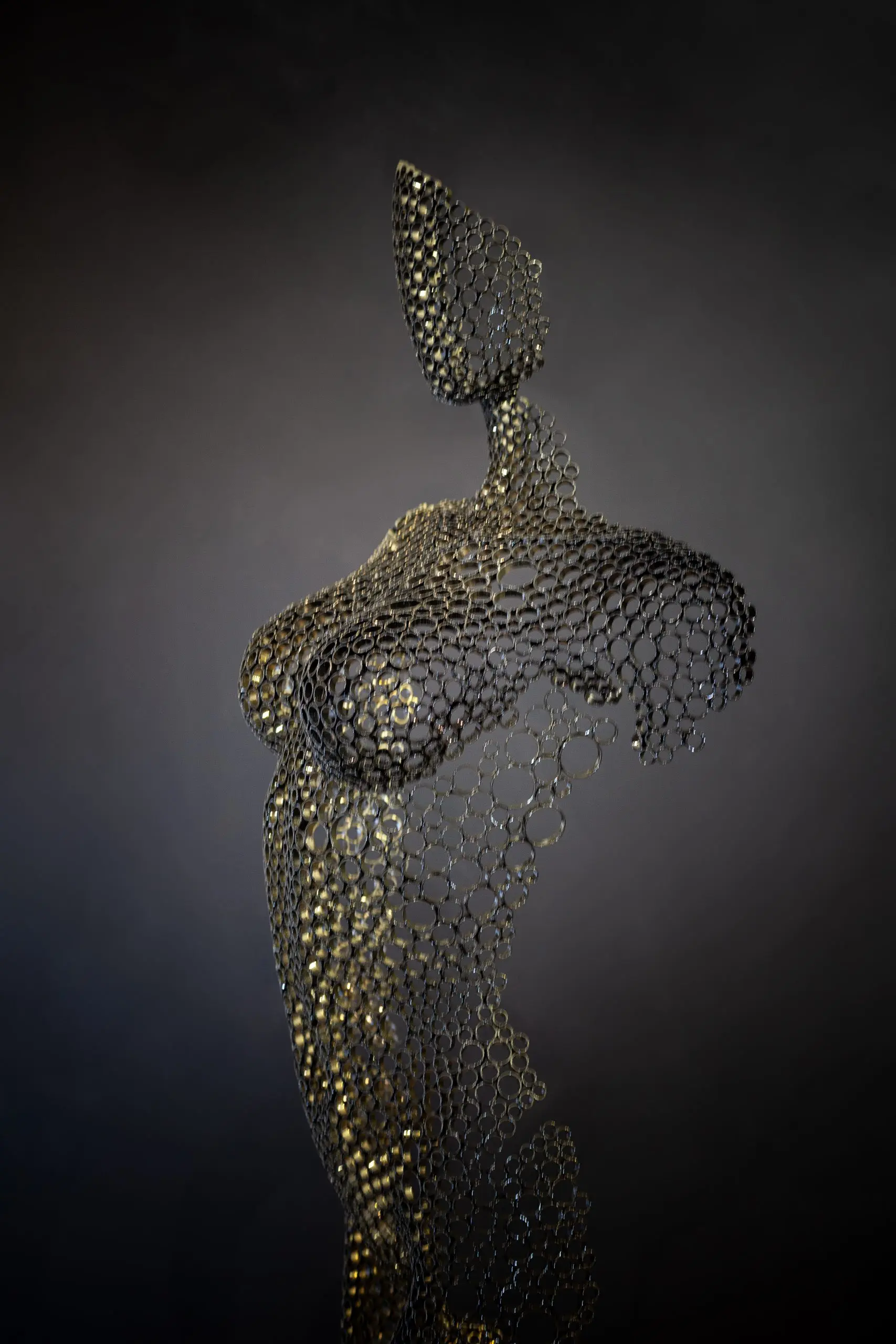 Yohan Plu - 3