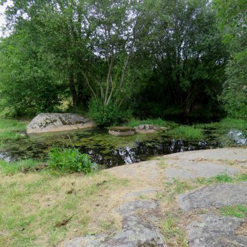 Avrillé Fontaine Saint Gré