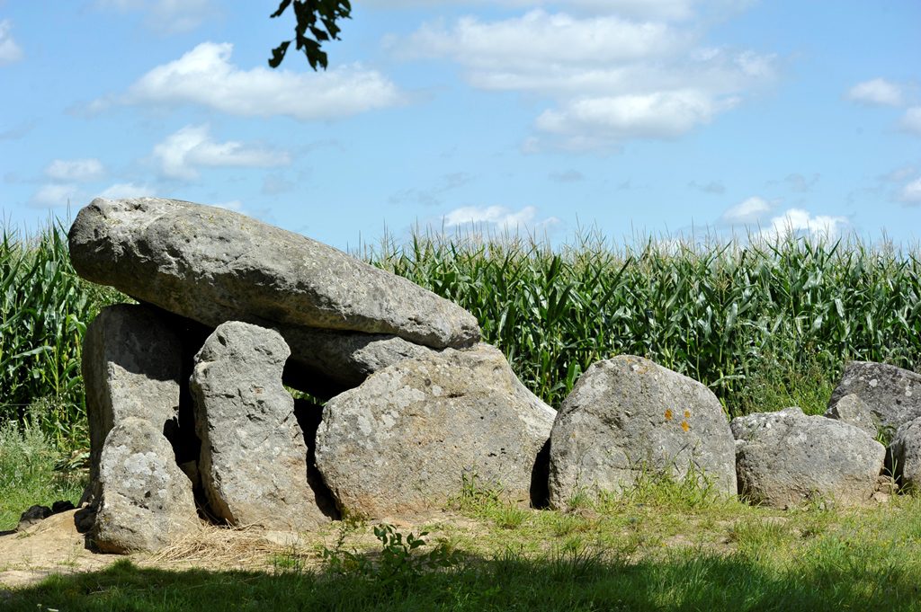 Le Bernard, Dolmen des Pierres folles - &copy;Thomas Delonde