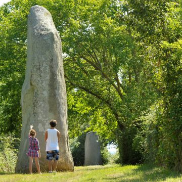 Le Bernard, Menhir du Plessis - ©Thomas Delonde