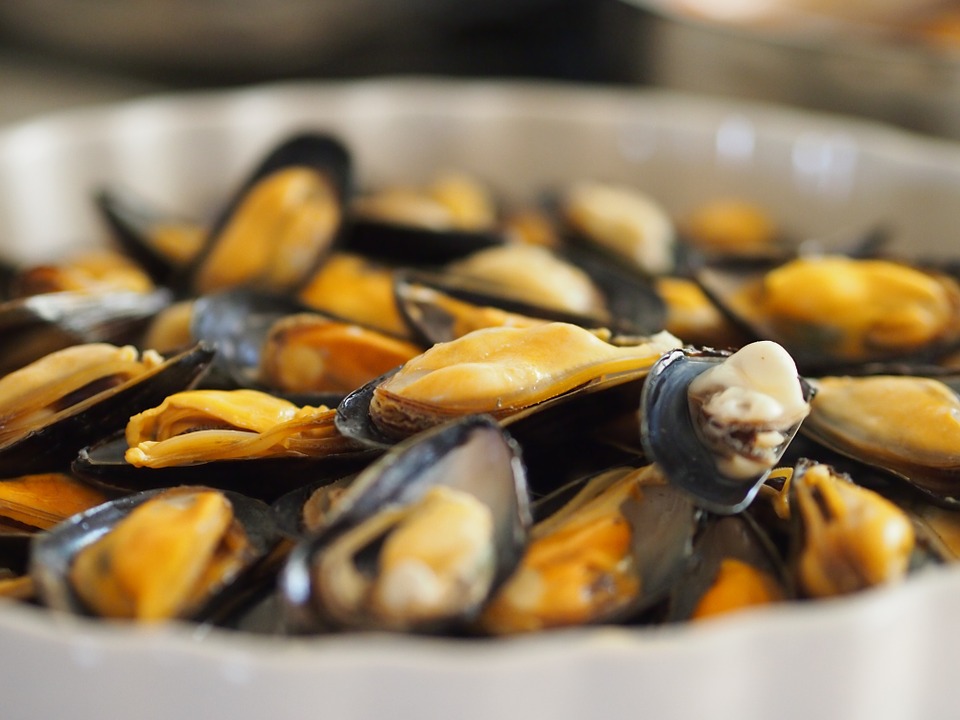 Moules spécialités repas