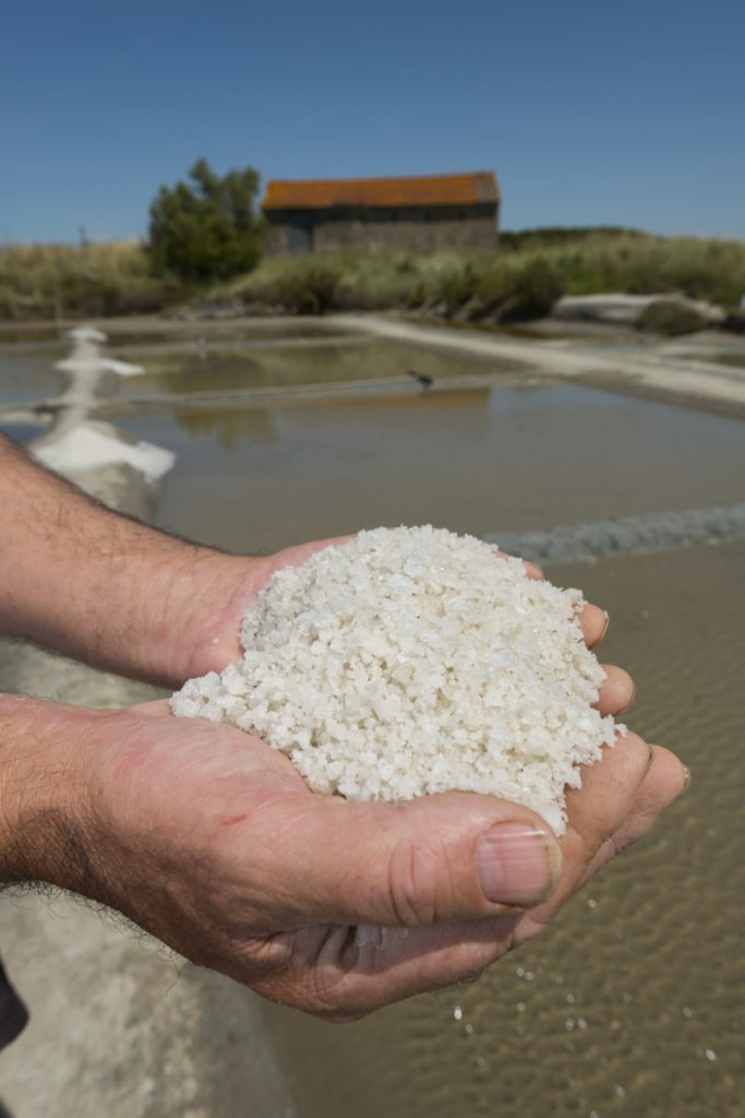 Sel des marais salants de Talmont-Saint-Hilaire - crédit photo© Joncheray Valery