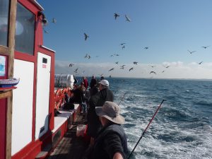 Sortie en mer avec la Messaline - Crédit Photo : ©La Messaline