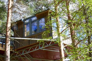 Hébergement insolite - Cabane dans les arbres