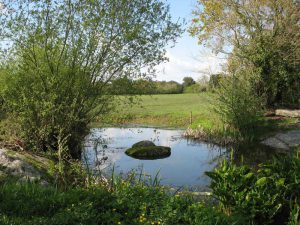 Saint-Vincent-sur-Jard