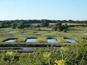 Proche de Jard-sur-Mer - Saint-Vincent-sur-Jard