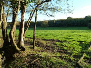La campagne Saint-Vincent-sur-Jard